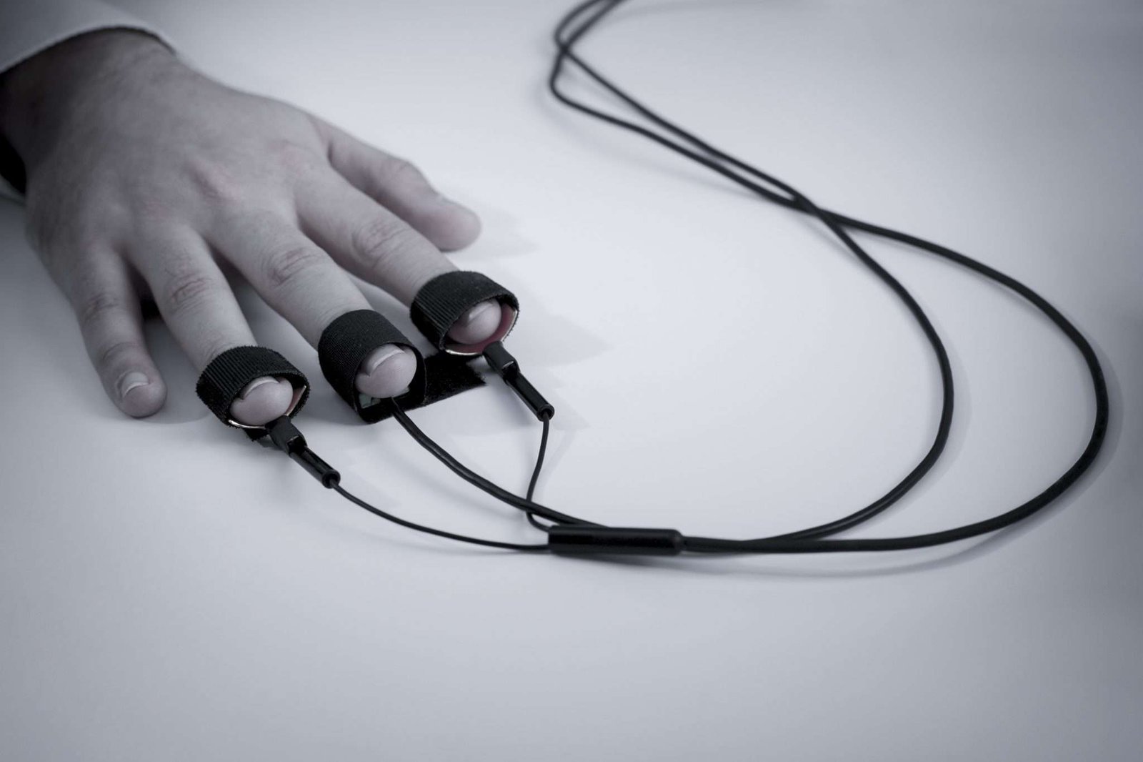Polygraph Tests for South African Rangers